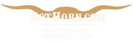 GotHorn logo